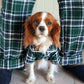 Green Plaid Matching Human Pajama