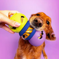 The Boomerang & The Slobber 2 Pack