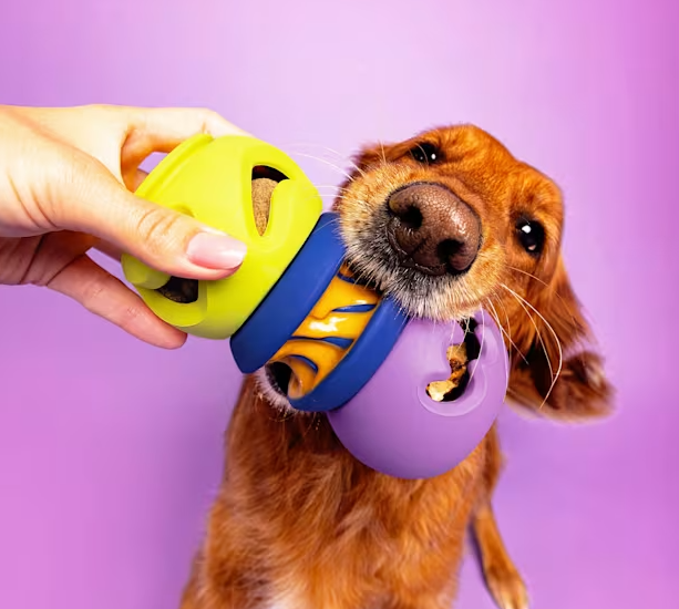 The Boomerang & The Slobber 2 Pack