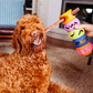 The Boomerang & The Slobber 2 Pack