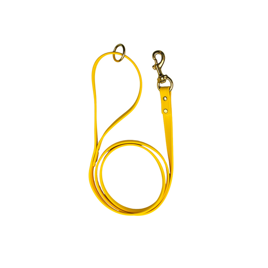 Lemon Drop Biothane Leash