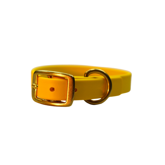 Lemon Drop Biothane Collar