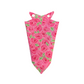 Primrose Path Bandana