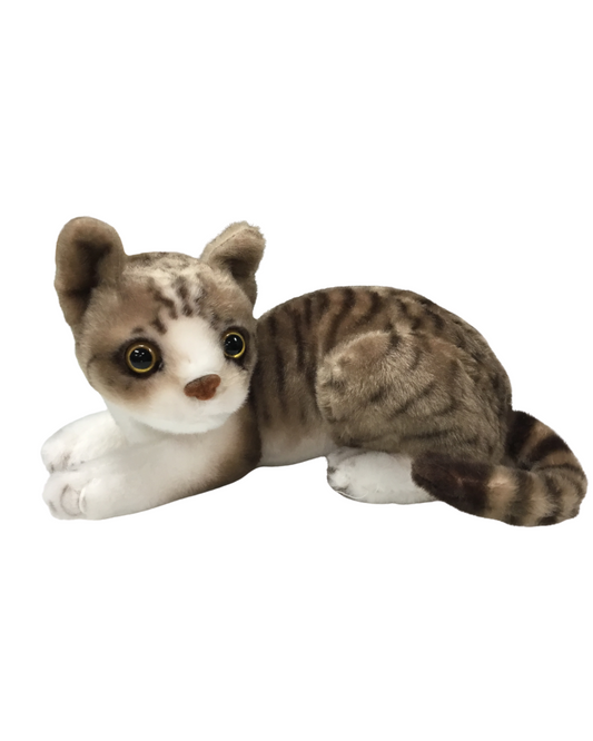 Plush Cat