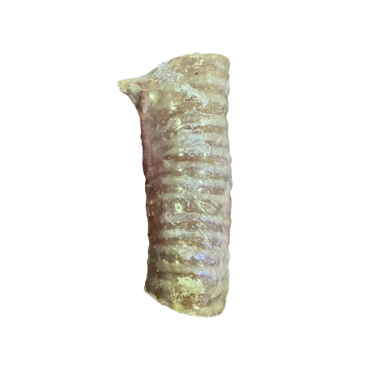 Beef Trachea Dog Chews