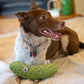 Pickle Plush Dog Toy 10"