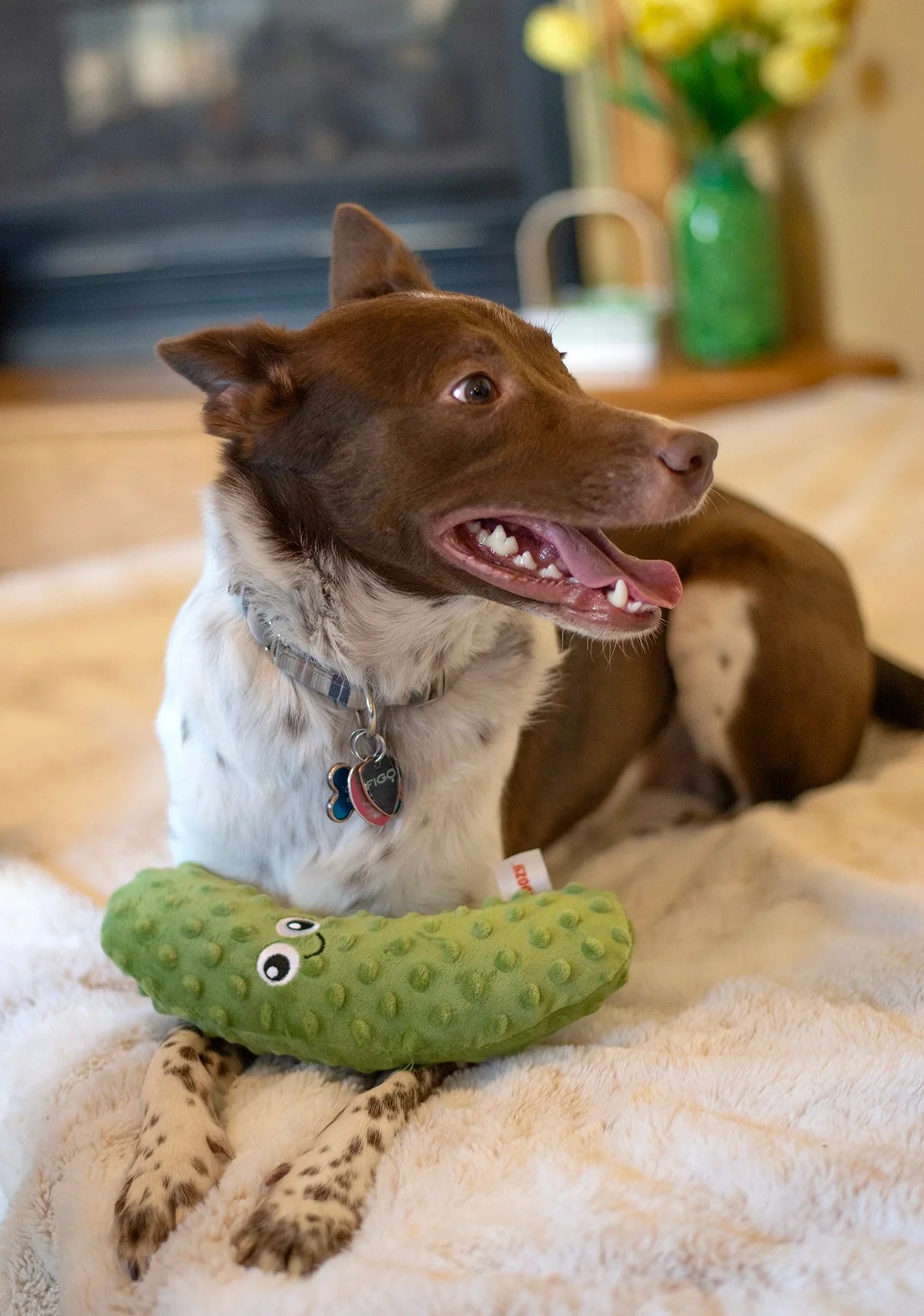 Pickle Plush Dog Toy 10"