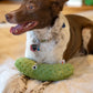 Pickle Plush Dog Toy 10"