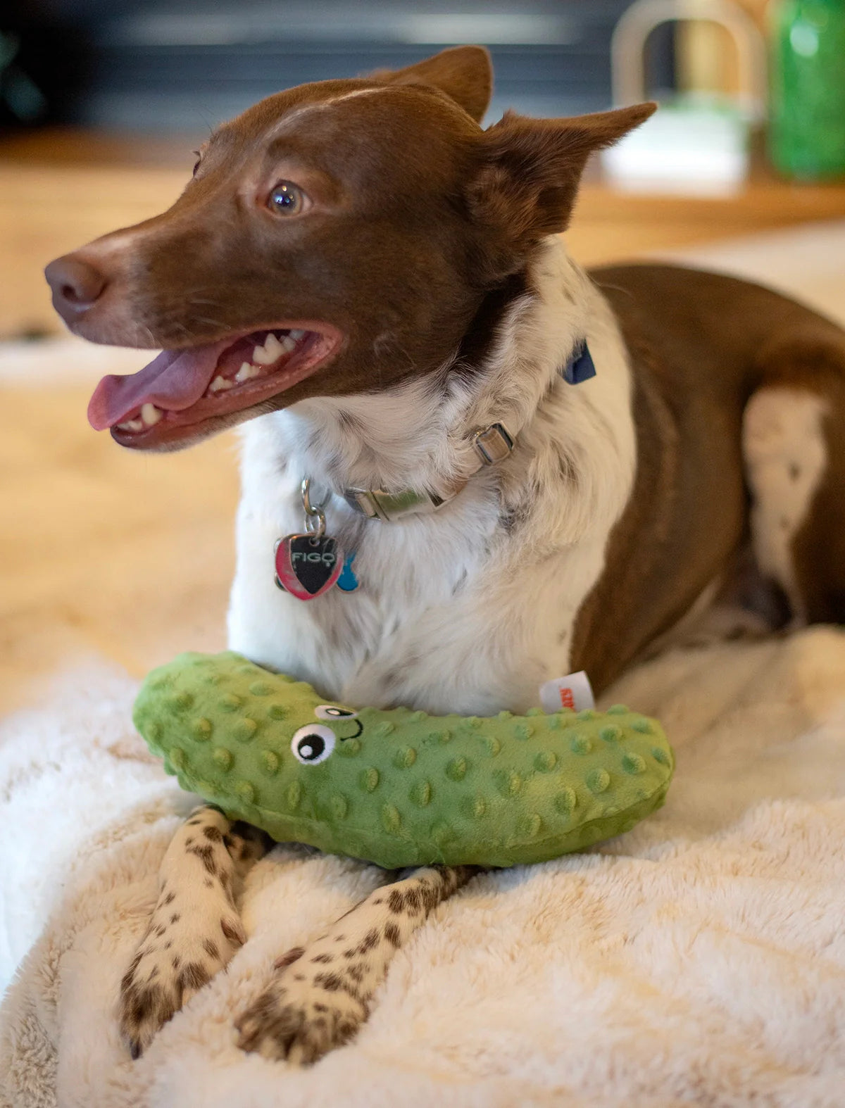 Pickle Plush Dog Toy 10"