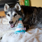 Pawty Hat Blue