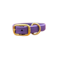 Violet Waterproof Biothane Collar