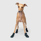 Unlined Wellies Dog Boots
