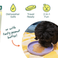 Fly n' Feed
