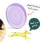 Fly n' Feed