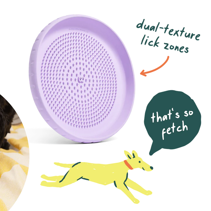 Fly n' Feed