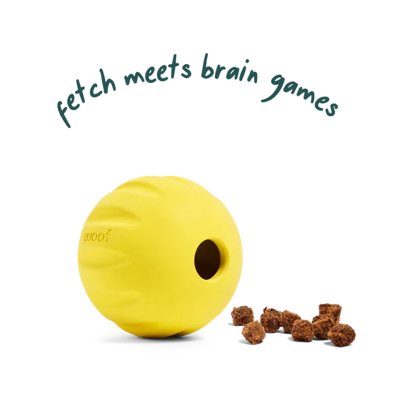 Woof Dog Yellow Flyball 2-In-1 Fetch & Treat Toy
