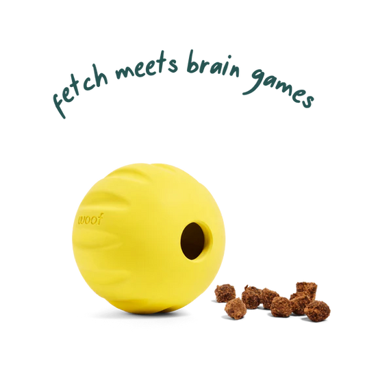 Woof Dog Yellow Flyball 2-In-1 Fetch & Treat Toy
