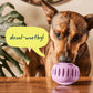 All-in-1 Wellness Pops
