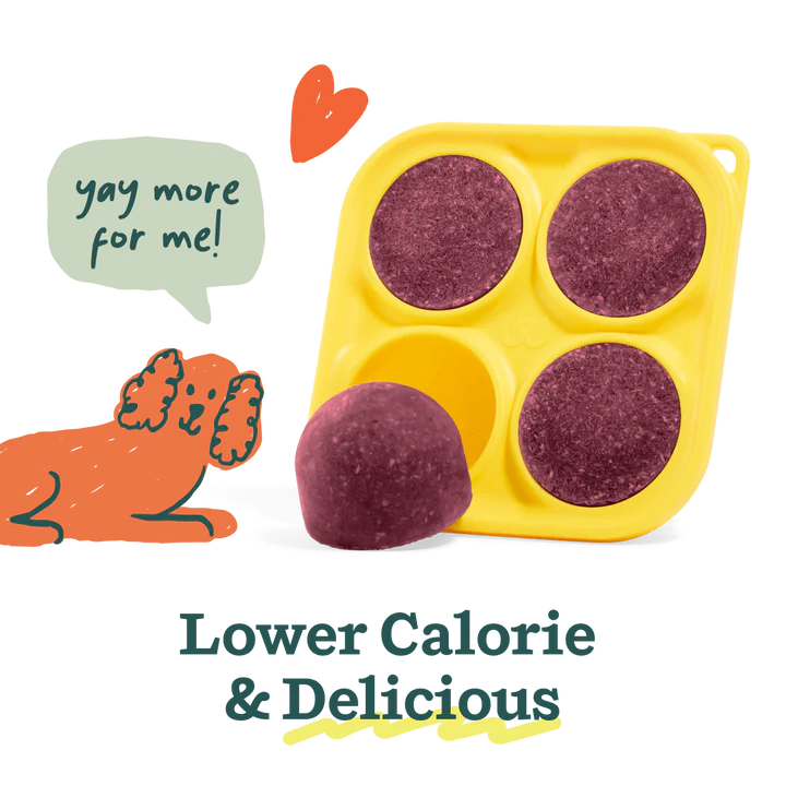 Berry Crush Pupsicle Mix