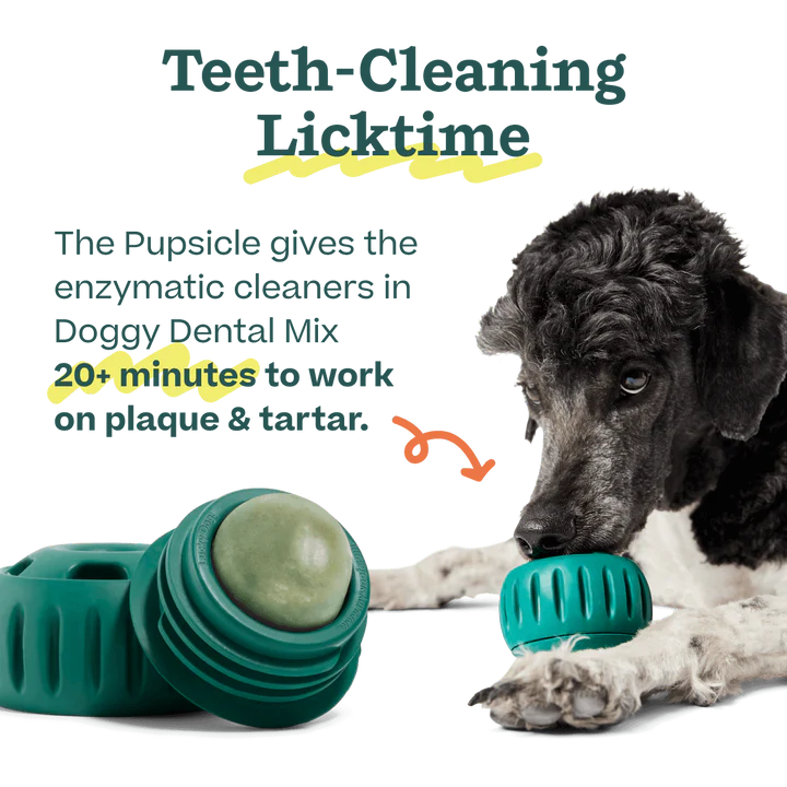 Doggy Dental Pupsicle Mix