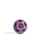 The Pupsicle