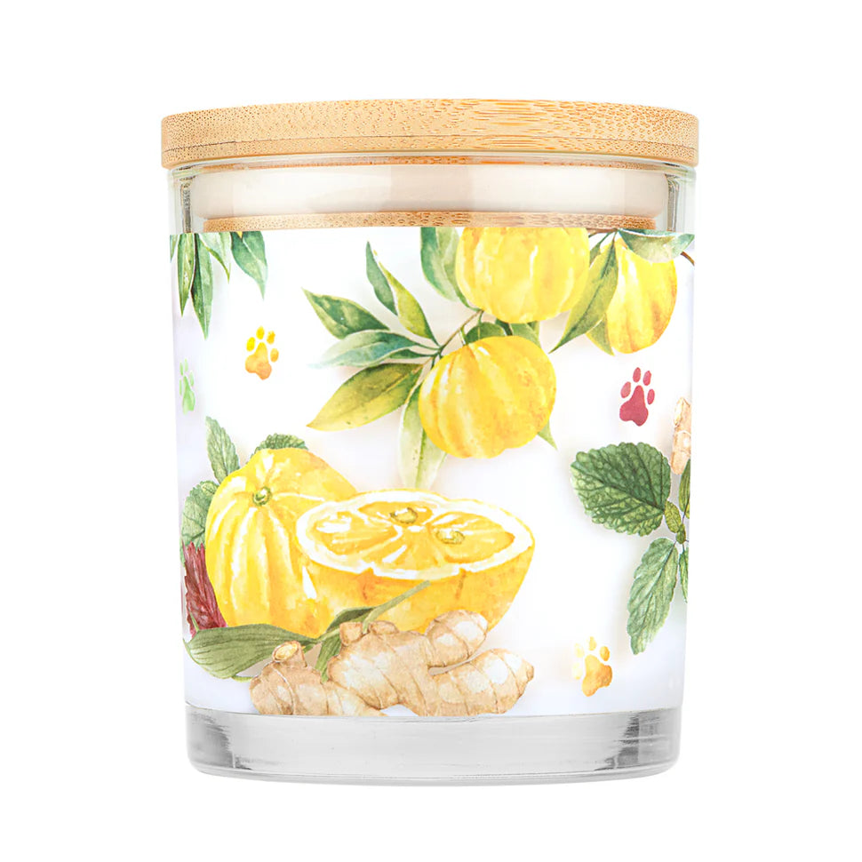 Yuzu Ginger Candle