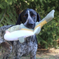 Stuffless Lizard Squeaker Dog Toy