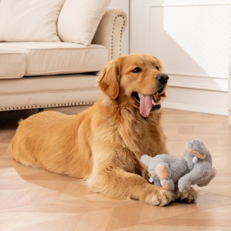 Animated Elephant Dog Toy