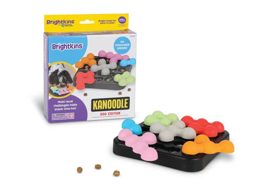 Kanoodle Puzzle