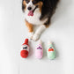 Beer, Wine & Rose Dog Toy Set