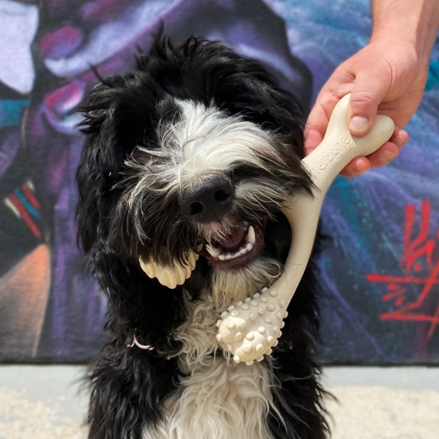Better Bone - Soft Chewer