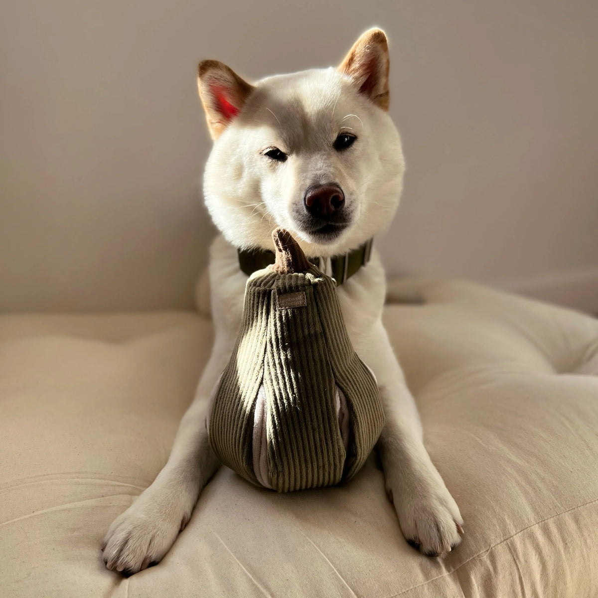 Butternut Dog Toy