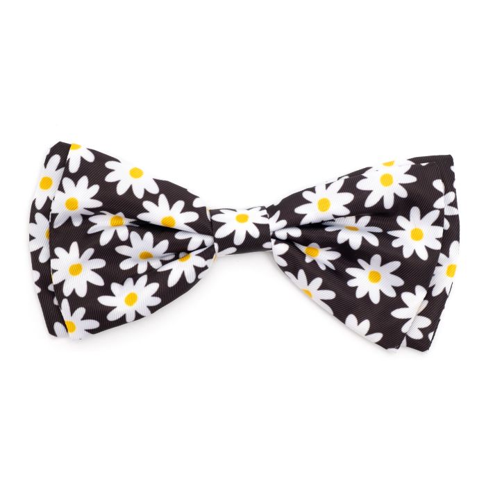 Bow Tie Daisy