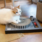 DJ Turn Table Cat Scratcher