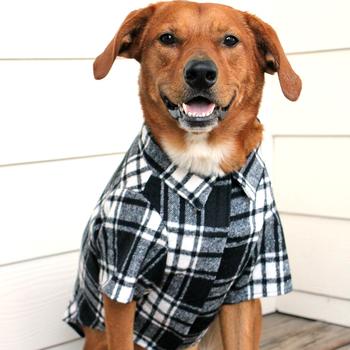 Flannel Dog Shirt - Black White Plaid