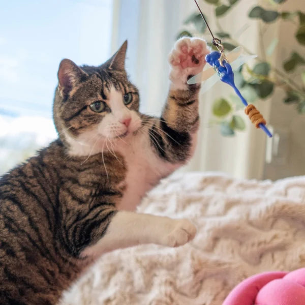 Dragonfly Tease Wand Cat Treat Toy Playset