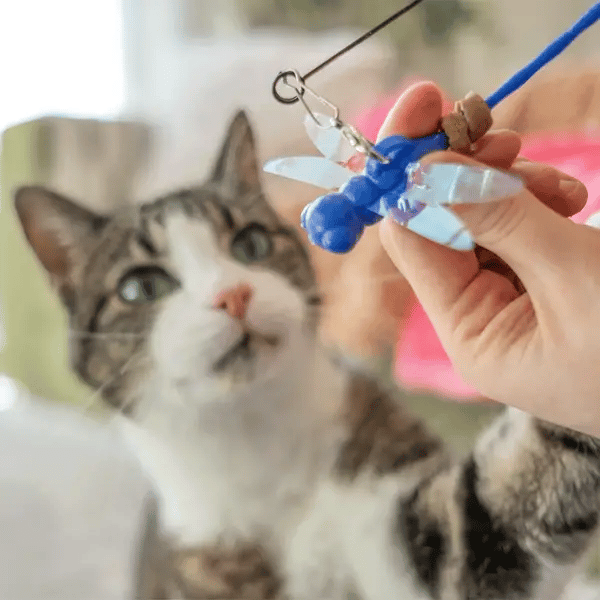 Dragonfly Tease Wand Cat Treat Toy Playset