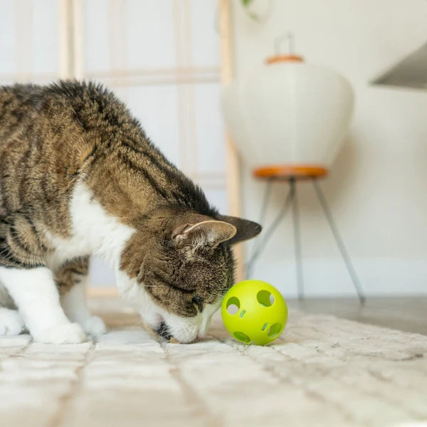 Savory Salmon Cat Treats