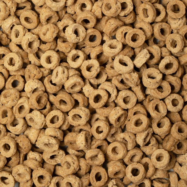 Savory Salmon Cat Treats