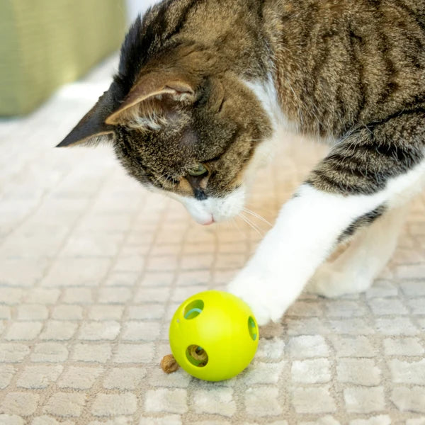 Purrkleball Treat Ball Cat Toy