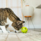 Purrkleball Treat Ball Cat Toy