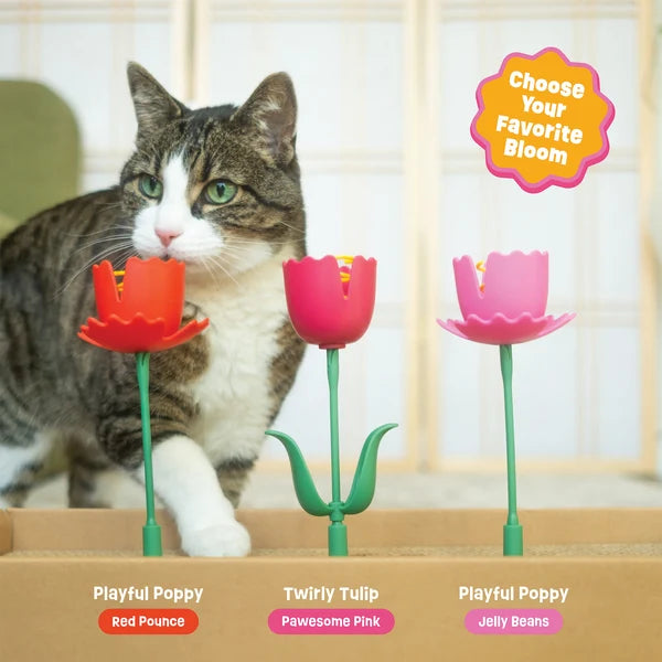 Springy Flower Cat Treat Toy