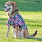 Paradise Nights Hawaiian Camp Shirt