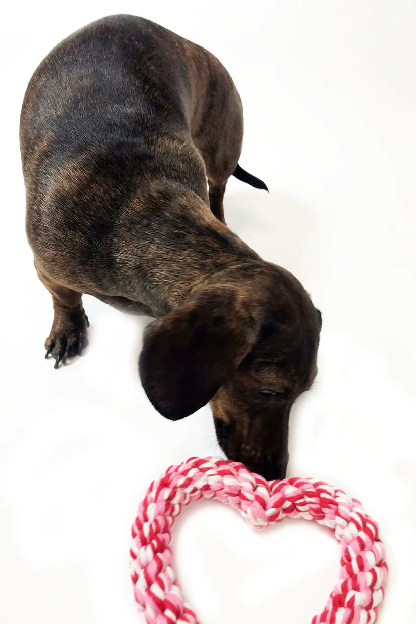 Heart Rope Dog Toy
