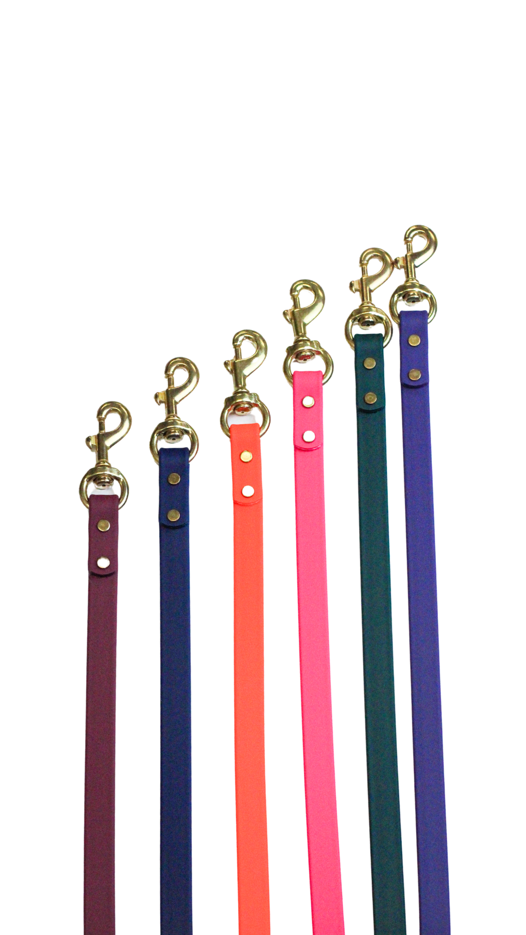 Waterproof Biothane Leashes