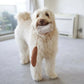 Baguette Dog Toy