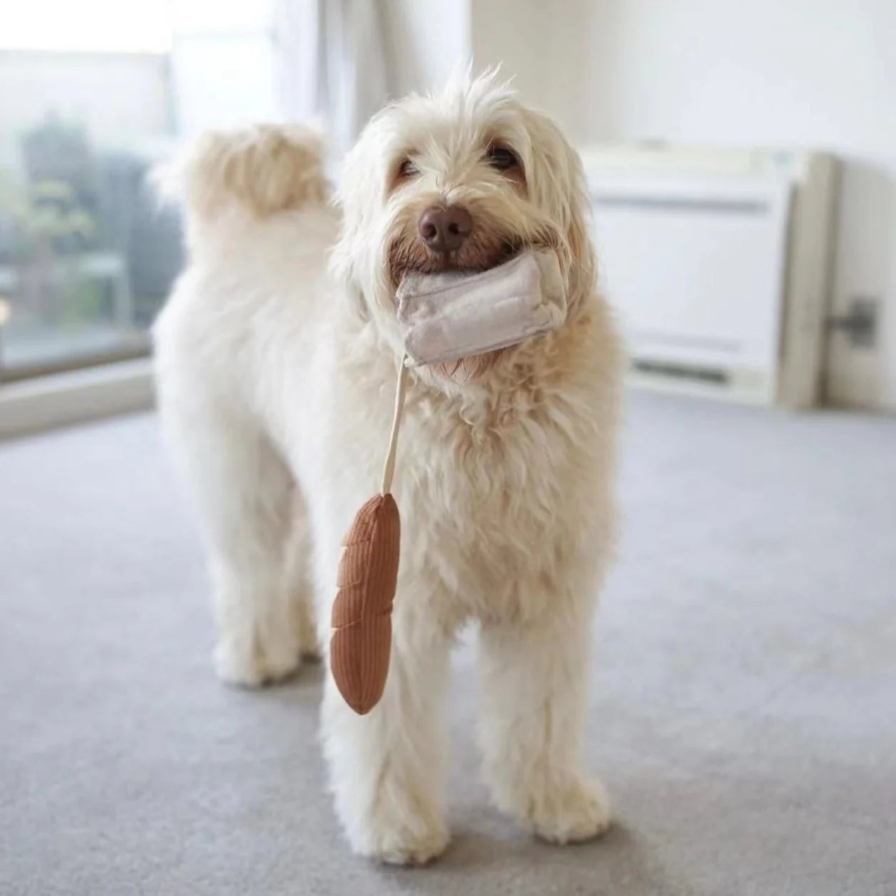 Baguette Dog Toy