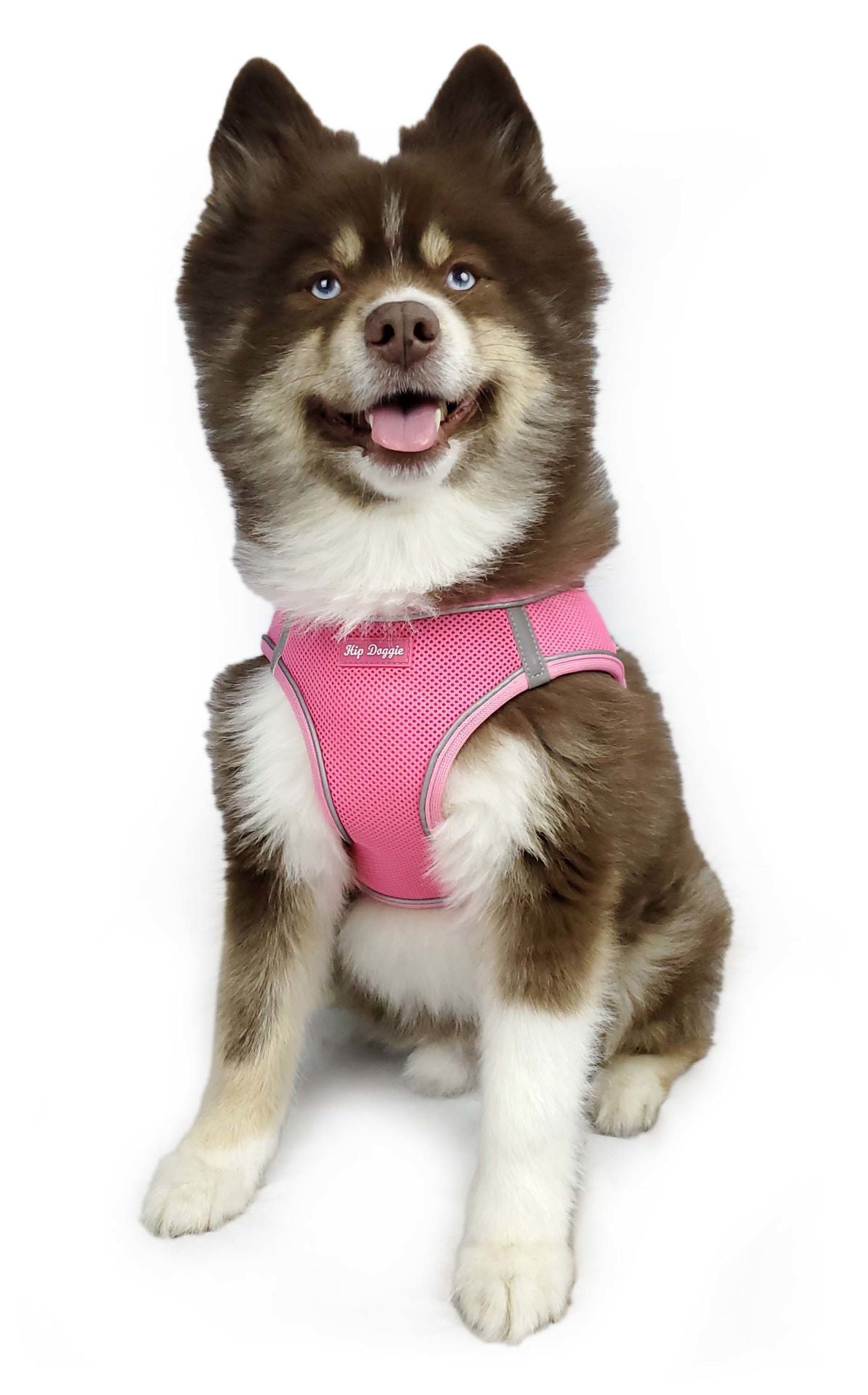Hip Doggie EZ Reflective Harness Vest