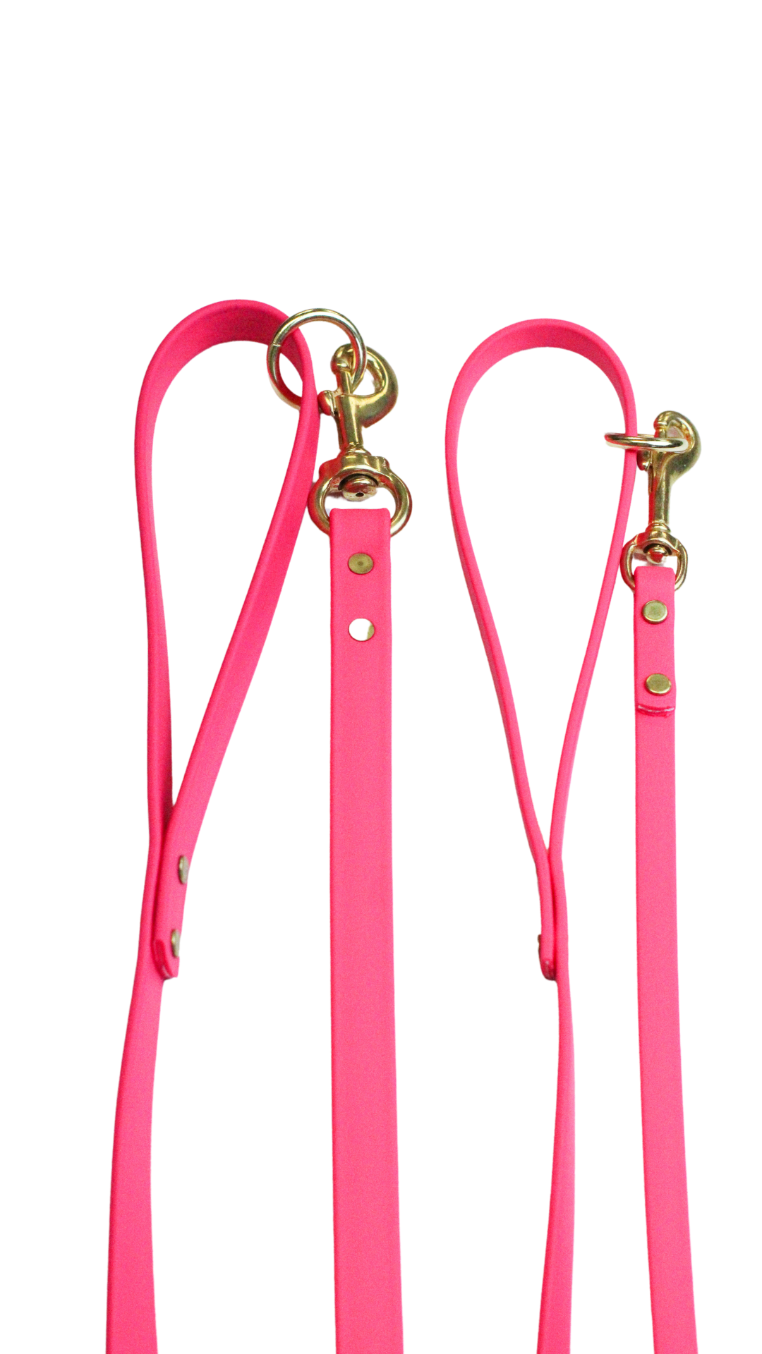 Waterproof Biothane Leashes