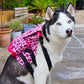 Dog Backpack - Poochie PInk